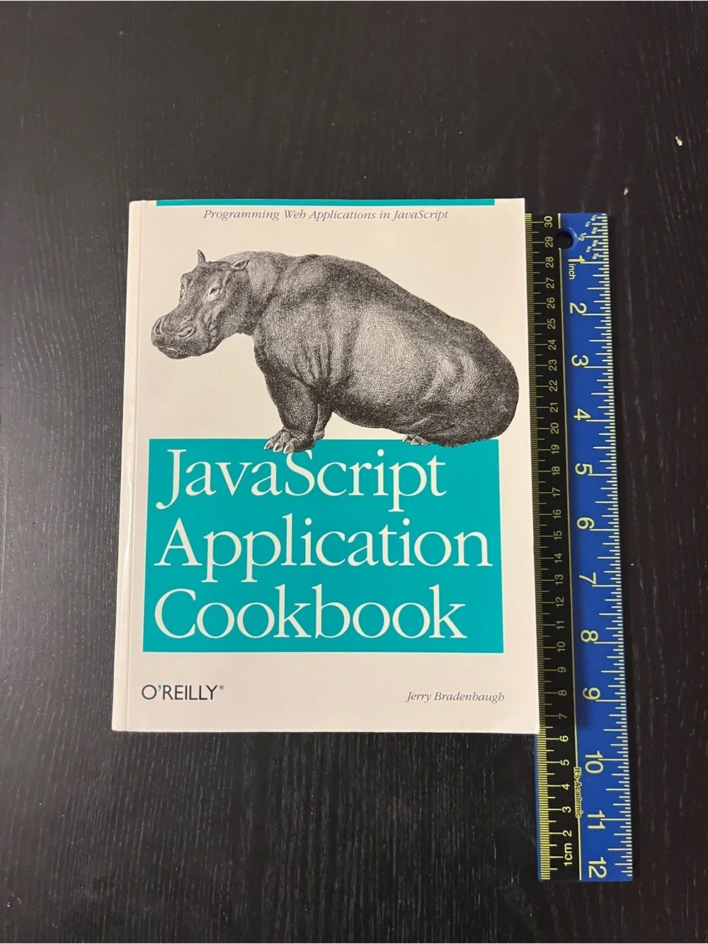 O'Reilly JavaScript Application Cookbook Book 1st Edition Jerry Bradenbaugh 1999